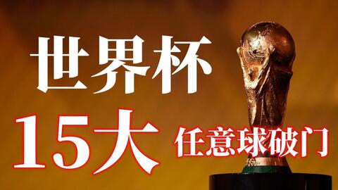 入了决赛